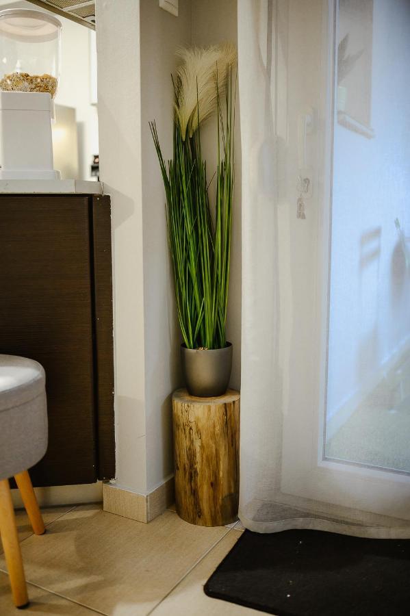 Le Petit Jardin #2 Apartamento Volos Exterior foto